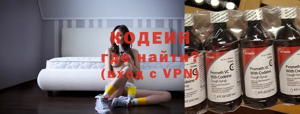крисы Алагир