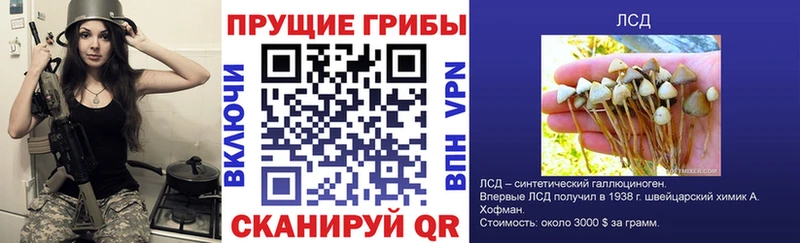 Псилоцибиновые грибы Cubensis  mega маркетплейс  Орск 