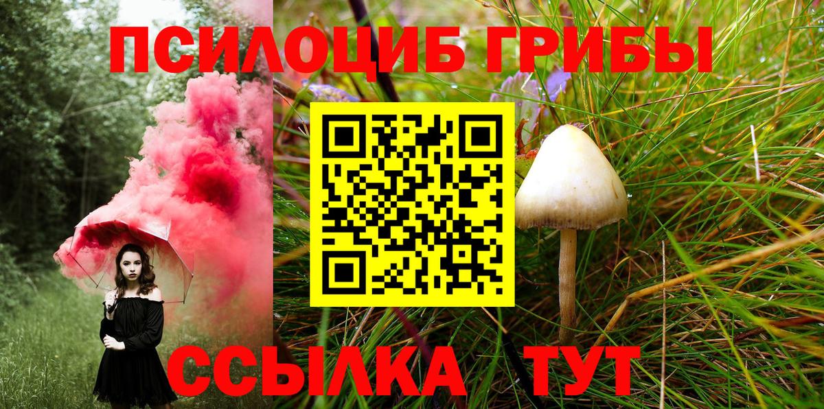 Орск  Галлюциногенные грибы мухоморы  Вход с VPN 