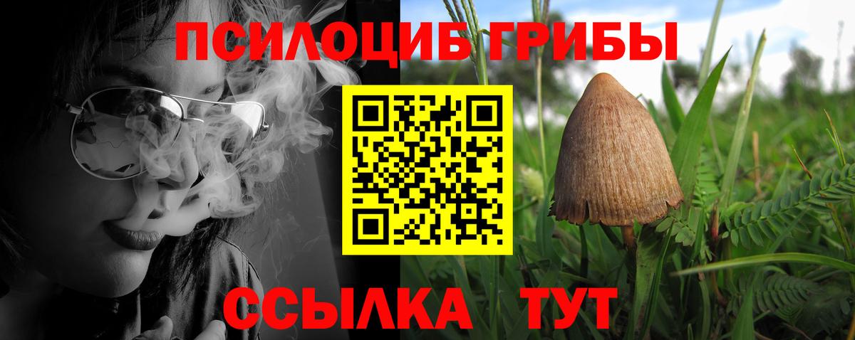 Псилоцибиновые грибы GOLDEN TEACHER Орск