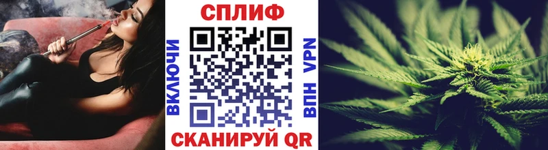 Бошки Шишки SATIVA & INDICA купить наркотик Орск